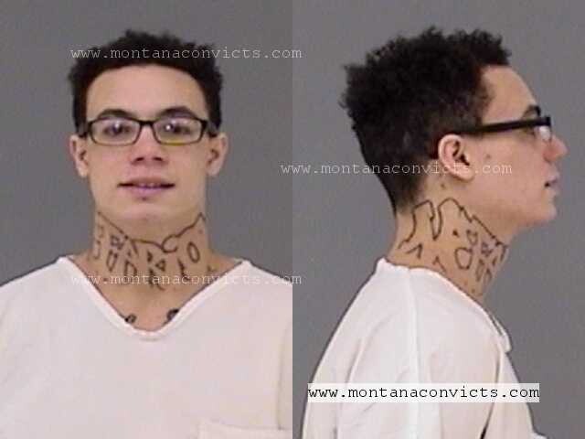 Casey Robin Kazimi - 3020606