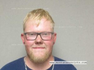 Shane Tenold - 3020643