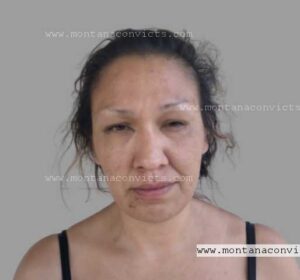 Tisha Lee Red Dog - 3020664