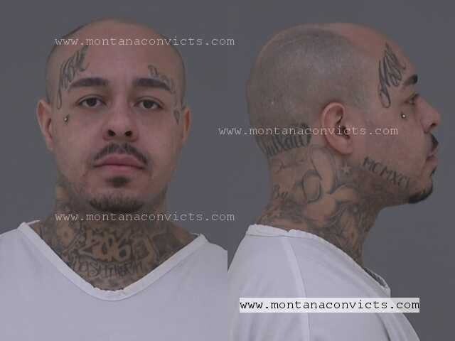 Kiwan Austin Busha - 3020677