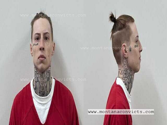 Dyllan Porter - 3020980