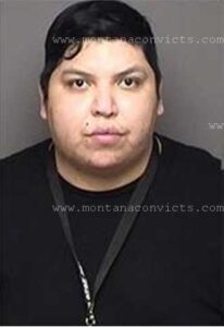 Tifton Sean Medicine Horse - 3021212