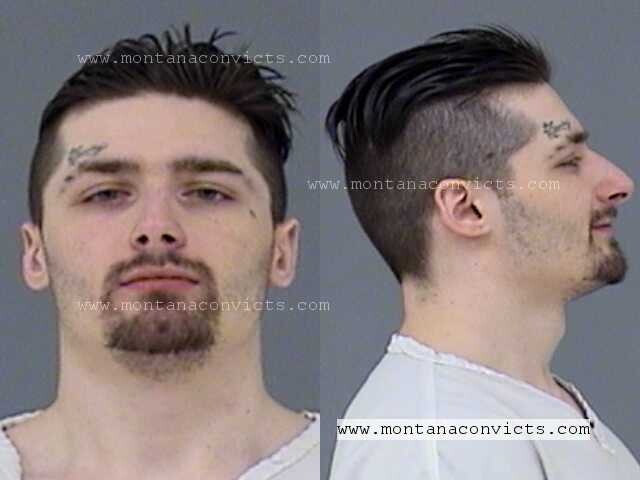 Dylan Michaels Rebo - 3021395