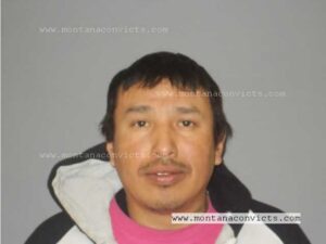 Farron Gene American Horse - 3021599