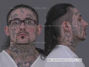 Xander John Trinity Matt - 3021692