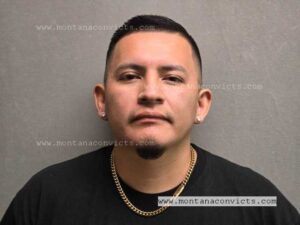 Toby Dean Wolf Black - 3022048