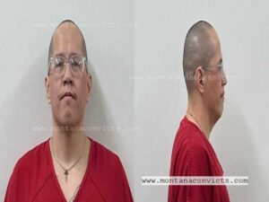 Patrick Saint Standsoverbull III - 3022773