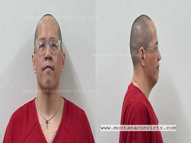 Patrick Saint Standsoverbull III - 3022773
